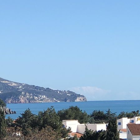 Apartment Veselin Budva Dış mekan fotoğraf